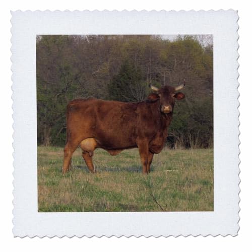 6x6 inch Quilt Square - Cow on The Green Nature N Wildlife Animals