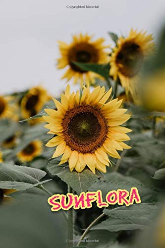 Sunflora: Notebook