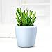 Sungmor 7.1"/18cm Macetas de plantas autorriego - Fácil agregar agua + Observar...