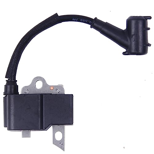 Goodbest New Ignition Coil Compatible with Echo CS