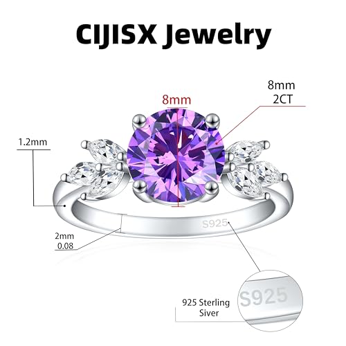 Cijisx Round Birthstone Ring 925 Sterling Silver Simulated Amethyst Ring Purple Promise Ring for Women Colored Cubic Zirconia Ring Engagement Ring Size 8 — view 2