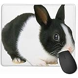 kaninchen schwarz otter Einzigartiges entzückendes Muster, lebendige Farbe, großes Geschenkideen-Mauspad. Unser Mauspad verleiht Ihrem Leben einen kleinen Schlag.