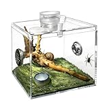 Spinnen-Terrarium | Durchsichtiges Insekten Terrarium | Schneckenterrarium | für...
