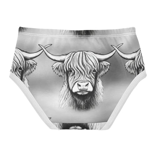 Highland Cows Grey Panties for Girl Girls Underwear Toddler Cotton Colorful Undies Kids Briefs 2t2