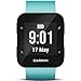 Garmin 010-01689-12 Garmin Forerunner 35 - Europe Frost Blue