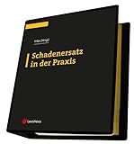 Schadenersatz in der Praxis (Loseblatt)