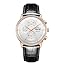 RGA1699-PWB