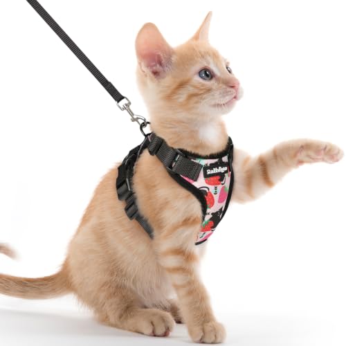 Image of rabbitgoo Cat Harness and Leash Set, Escape Proof Vest, Berry Pounce | Soft Breathable Mesh, Easy Adjustable Fit, Snap Buckles, Sturdy Clip, Reflective Strips, for Kittens & Small Cats Walks, Xxs