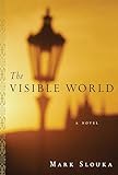 The Visible World: A Novel