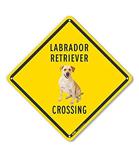 "Labrador Retriever Crossing (Yellow Back)" Plastic Sign, 10" x 10", 0.04" Width