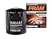 FRAM PH6010A Spin-on Motorcycle Oil Filter