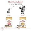 Royal Canin Feline Breed Nutrition Maine Coon Adult Dry Cat Food, 6 lb Bag #4