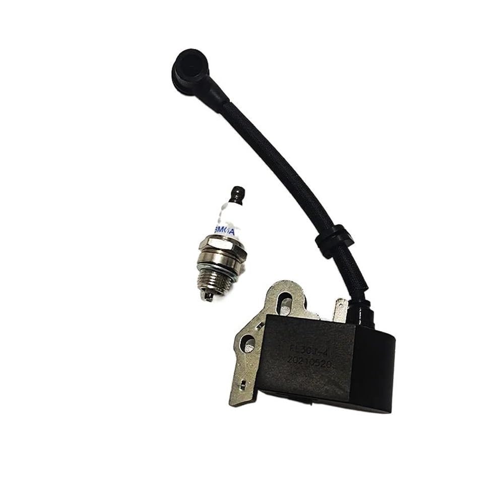 Bobine d'allumage et bougie 305 pour résoudre les pannes de démarrage
