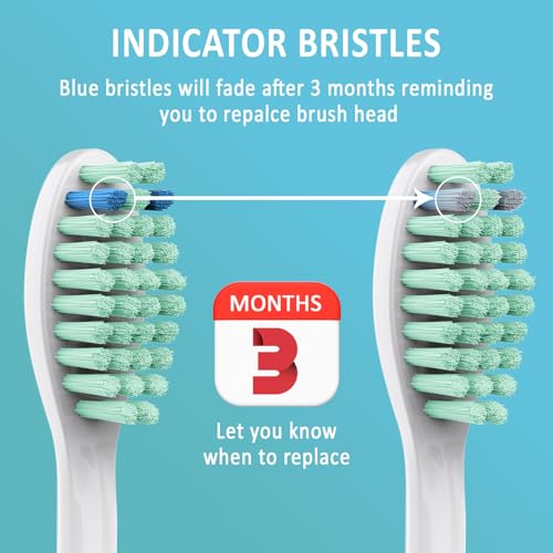 GottaShine Replacement Toothbrush Heads for Philips Sonicare E-Series Essence Xtreme CleanCare and Other Screw-on Electric Brush Head Multi-Color Rings 6 Packs