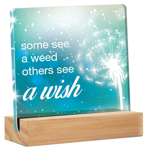 Inspirational Desk Sign - Motivational Desk Signs - Cheer up Gift...