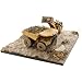 Diecast Masters 1:125 Scale Weathered 994K Wheel Loader & CAT 797 Mining Truck | Weathered Series Cat Trucks & Construction Equipment Model 85762