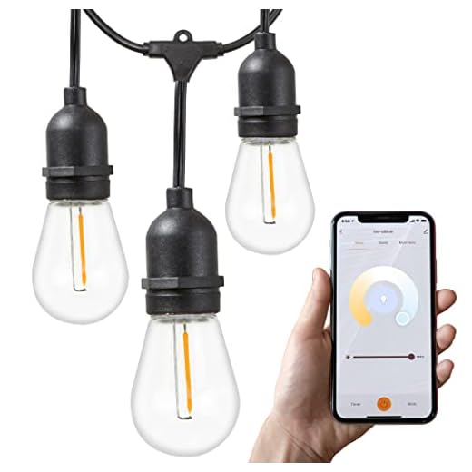 Newhouse Lighting 48ft. 15-Socket Smart LED String Outdoor Lights, Smart Life App Works with Alexa Dimmable Outdoor Patio Accessories with Timer,S14 E26,30W,2700K,Black,SMSTRING15