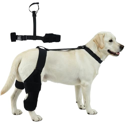 FETPET Dog Knee Brace for Back Leg, Adjustable Dog Hind Leg Support for Torn ACL/CCL/Senior Dogs/Dog Hip & Joint Care, Breathable Neoprene with Stabilizers(Left & Right), Black L