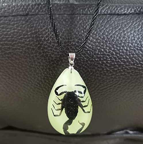 Ptgmh Glow In The Dark Necklace Black Scorpion Amber Resin Adjustable Necklace Pendent With Insect Sample Inside Birthday Gift For Lover Friends (Black（Black Scorpion）) #TOP4