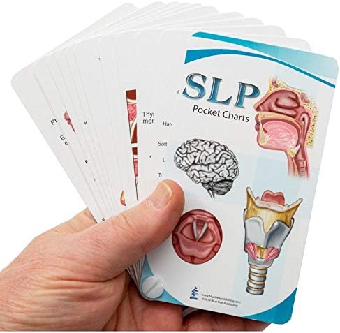 Blue Tree Publishing SLP Pocket Chart (Pocket B, 5.25 x 3 x 0.1 inches)
