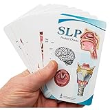 SLP Pocket Charts