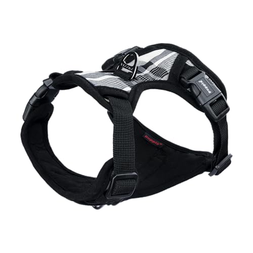 Junior Harness H Negro XL
