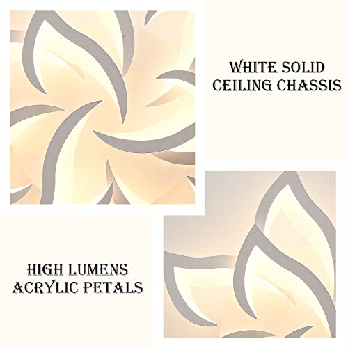 Panghuhu88 Modern Ceiling Lamp,Dimmable Led Ceiling Lights Metal Acrylic Lighting Fixtures With Romote Control For Bedrooms, Living Rooms, Kitchen Rooms (10 Head) #TOP5
