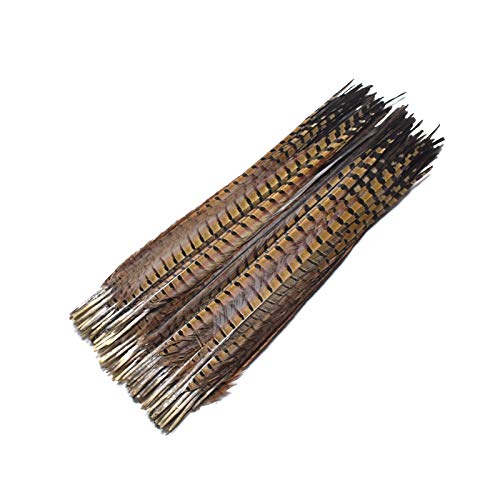 Mathenia Crafts, 50-55cm 20-22" Natural Pheasant Feathers Tail Crafts Wedding Decoration Indian Headdress Feather Headdress Carnival - (Color: 18-20Inch-45-50cm; Q'ty: 10Pcs)