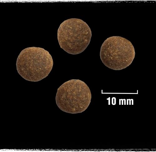 CRAVE Premium Trockenfutter mit Lamm & Rind für Hunde – Getreidefreies Adult Hundefutter mit hohem Proteingehalt – 6 x 1 kg