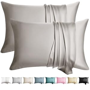 100% Silk Pillow Cases 2 Pack Queen Size Mulberry Silk Pillowcase for Hair and Skin Set of 2 Highest Grade 6A Silk Soft Breathable Cooling with Hidden Zipper, Grey