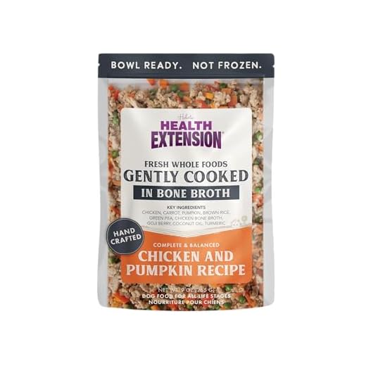 Health Extension Gently Cooked Chicken & Pumpkin Dog Food, Human-Grade & Shelf-Stable with Superfoods, Supports Digestion, Immunity, Skin & Coat, 9 oz Pouch (Pack of 1)