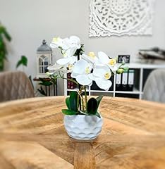 DECOLINE Künstliche Orchidee 33cm...