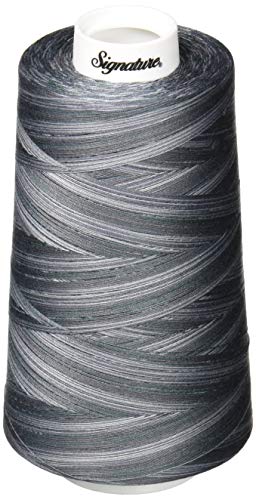 Signature Thread Machine Quilting Thread, 40Wt/3000 Yd, Variegated Smokey Blues #TOP17
