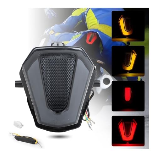 Feu arrière LED de rechange pour GSXR1000 années 2017 à 2023