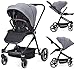 Passeggino a canna pieghevole, passeggino, passeggino, con cestino portaoggetti 3 in 1, compatto per 0-36 mesi, 0-22 kg, sistema di sicurezza a 5 punti, grande cappotta estensibile (grigio) immagine