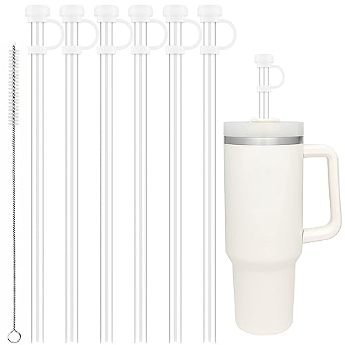 CHEETAH Clear Straw Covers with Straws for Stanley Tumbler Cups 40 oz,10mm Straw Cover Cap,6 Pcs