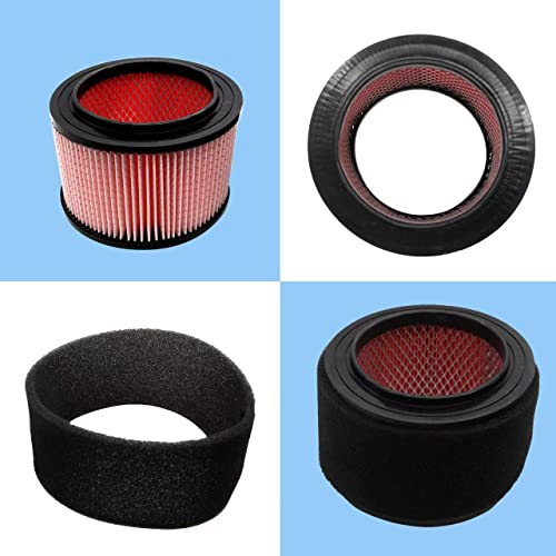 Aolleteau Fine Dust Cartridge Filter Compatible With Vacmaster Vf408, Vacmaster Vf410P, Wet/Dry Vac Beast Vfb511B 0201 And Cleva Industrial Vf408B (1 Pack Vacuum Filter And 1 Pack Foam Filter) #TOP5