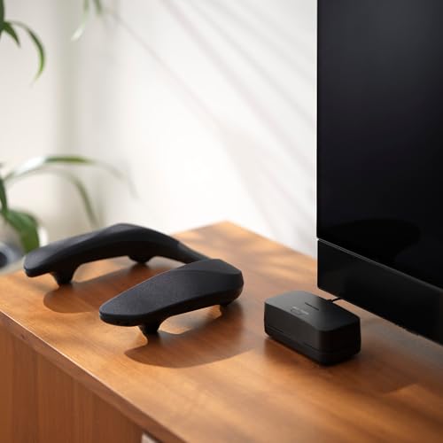 Panasonic SC-GNW30EG SoundSlayer Tragbarer kabelloser Gaming-Lautsprecher mit KI-Mikrofon mit Geräuschunterdrückung, 2,4 GHz, 4-Lautsprechersystem, LED, USB-C, PC/PS4/5/Switch/Xbox/TV, Schwarz