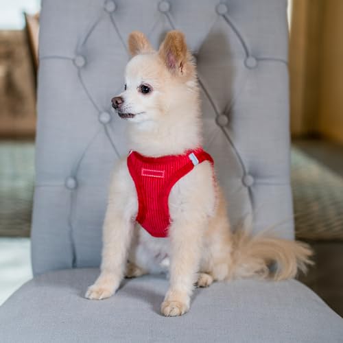 Image of Best Pet Supplies - All Weather Plush, Reflective, No Pull Harness for Small, Medium Dogs, Cats - Secure with Hook & Loop Fastener, Buckle, Double D-Rings - Harness (Red Corduroy), S