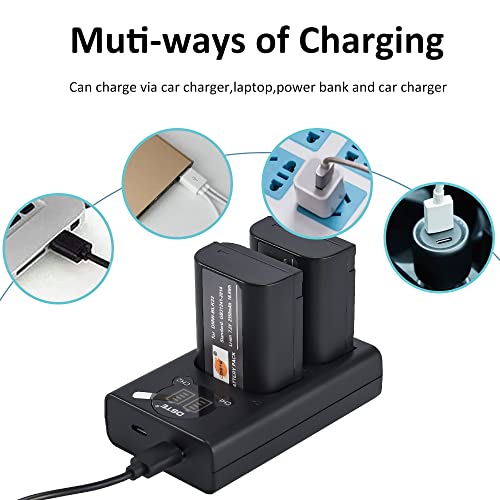 DSTE DMW-BLK22 Confezione da 2 batterie