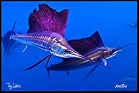 Algopix Similar Product 15 - Realfish Floor Mat Fish Mat Door Mat