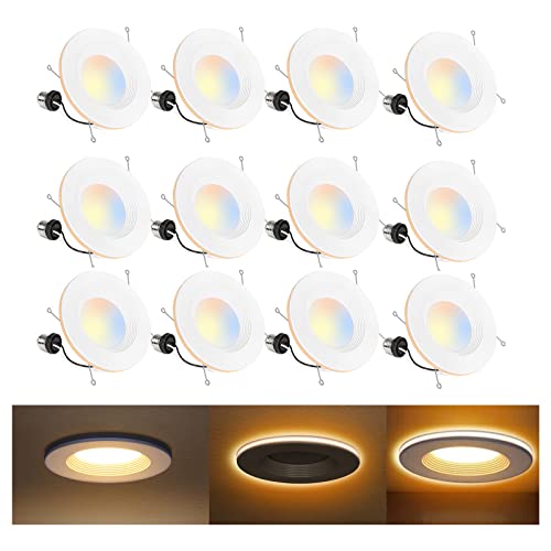 Top 10 Best Led Retrofit Can Lights Reviews & Buying Guide Katynel