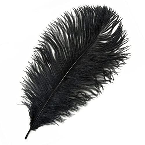Black Ostrich Feathers x 3 (5 to 6 inches) Weddings, Crafts, Sewing