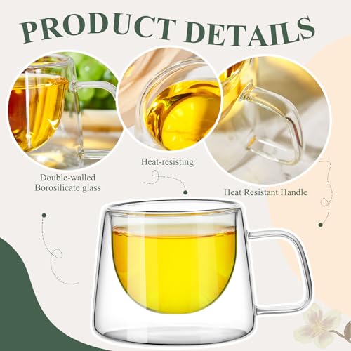 Rtteri HUN-RTTERI-3609 6 Pcs 6.8 Oz Double Wall Glass Coffee Mugs Clear Insulated Coffee Mugs With Square Handle Glass Coffee Cups Tea Cups Gift Set thumb #3