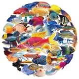 50 Pcs Clear PET Fish Aesthetic Stickers for Scrapbooking Journaling Junk Journal Scrapbook Supplies - Waterproof Transparent Fishing Decals for Resin Crafts Decorative Art Crafts (Fish)
