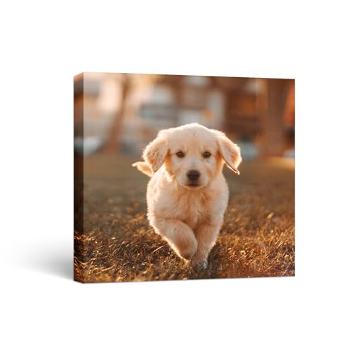 12'' W X 12'' H / 12"L x 12"W