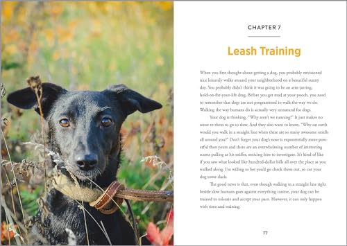 Easy Dog Training: Everything You Need to Know to Raise a Happy Pet