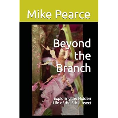 Beyond the Branch: Exploring the Hidden Life of the Stick Insect