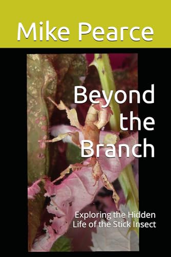 Beyond the Branch: Exploring the Hidden Life of the Stick Insect
