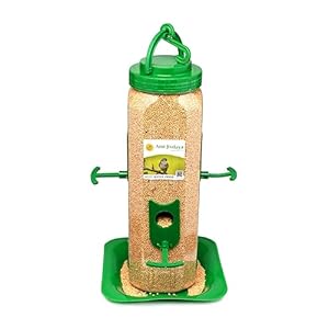 Amijivdaya Plastic Hexagon Shape Bird Feeder with Holding Handle with 6 Feed Nozzles – Heavy Duty Hanging Bird Food Feeder for Balcony, Outdoor (Large, Green)